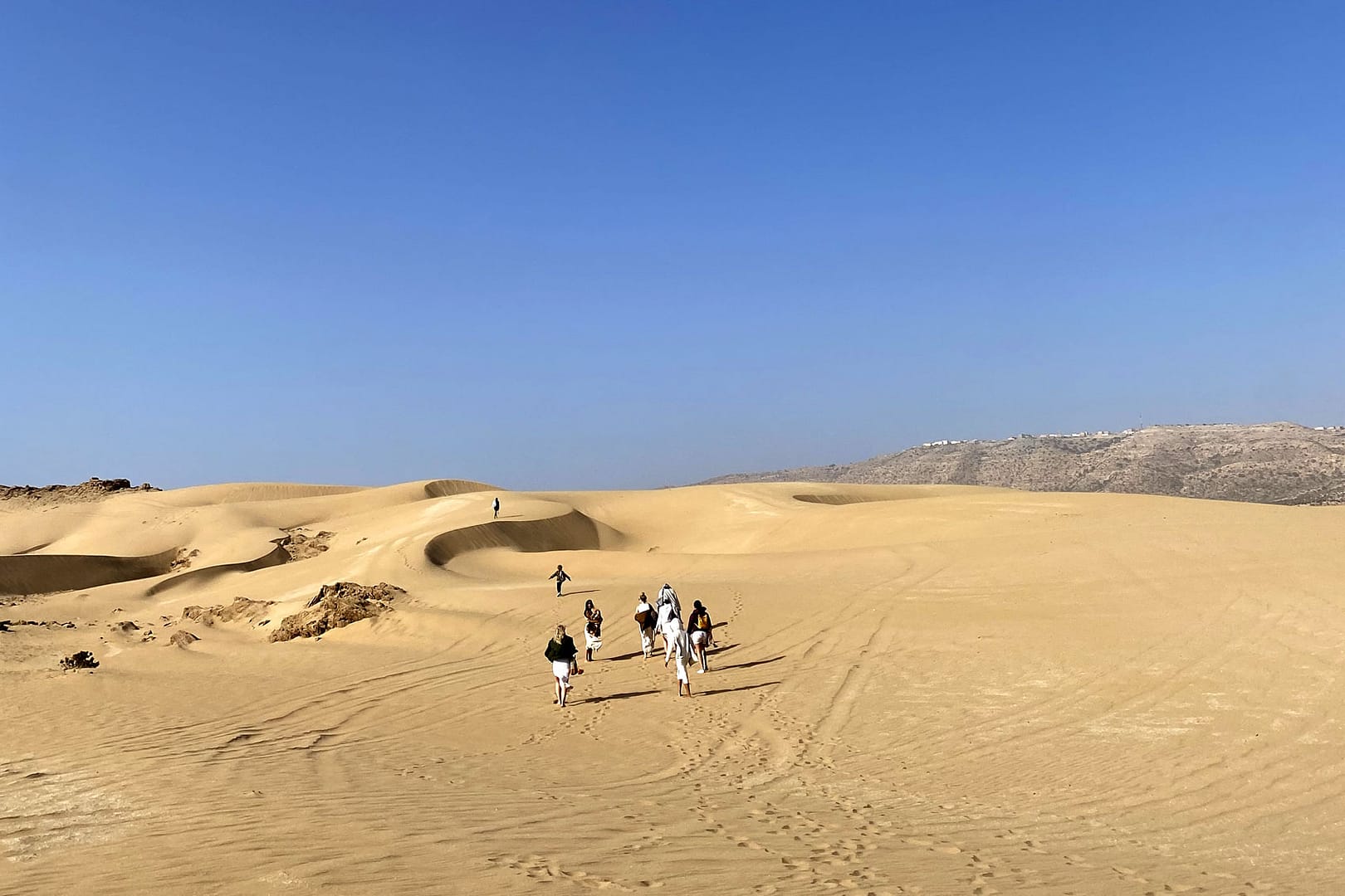 BEST SURF AND YOGA RETREATS IN MOROCCO 2024